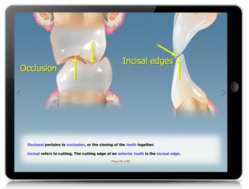 Slide 5