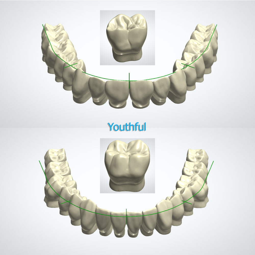 PTC Youthful