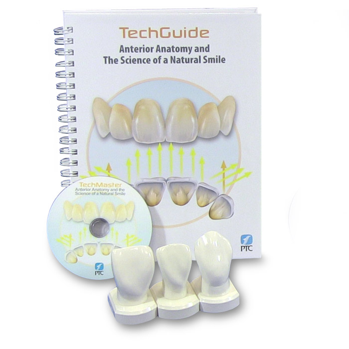 Anterior Anatomy and the Science of a Natural Smile